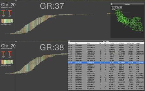 High-level Alignment Topology